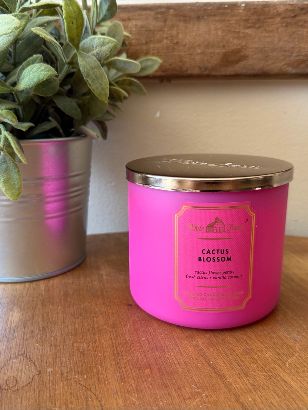 White Barn Hot Pink Cactus Blossom Candle with Gold Lid